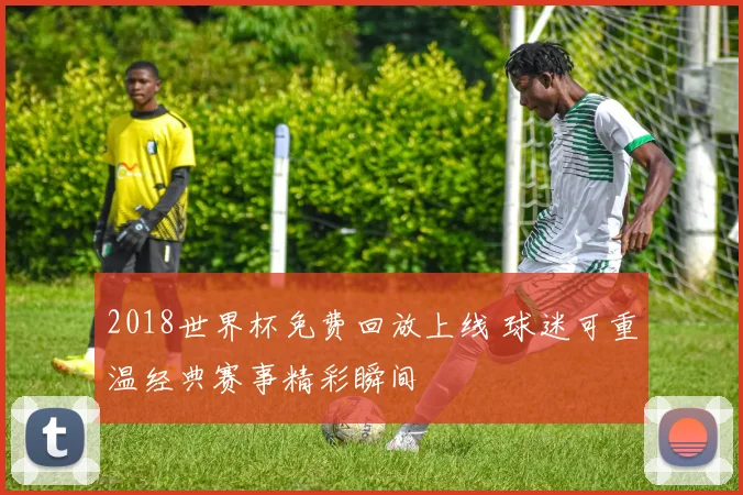 2018世界杯免费回放上线 球迷可重温经典赛事精彩瞬间